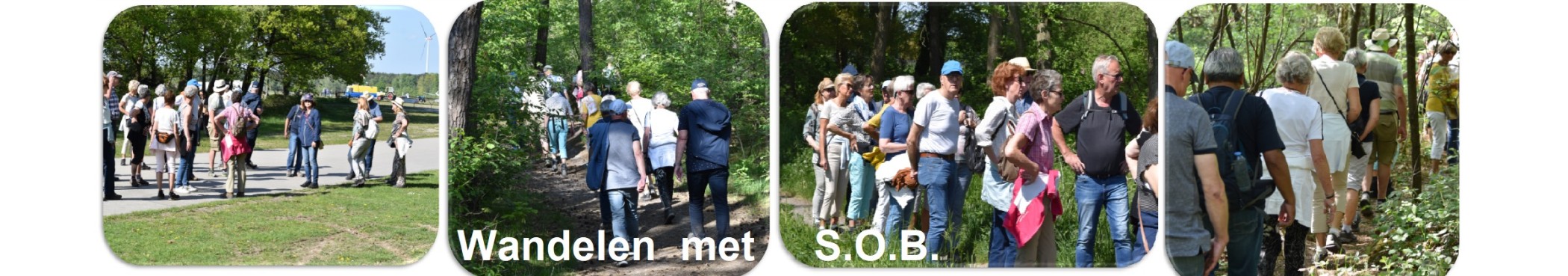 Stichting S.O.B. Venlo: Leden